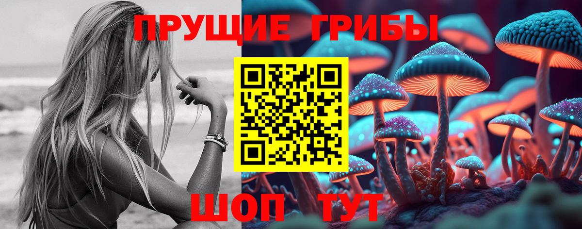 Псилоцибиновые грибы прущие грибы  магазин    Казань  Вход с VPN 